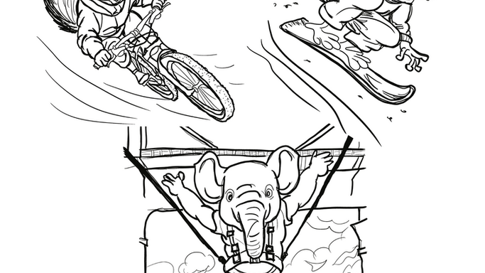 Animals to the Extreme!